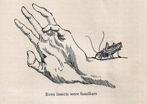 Witchcraft in England
