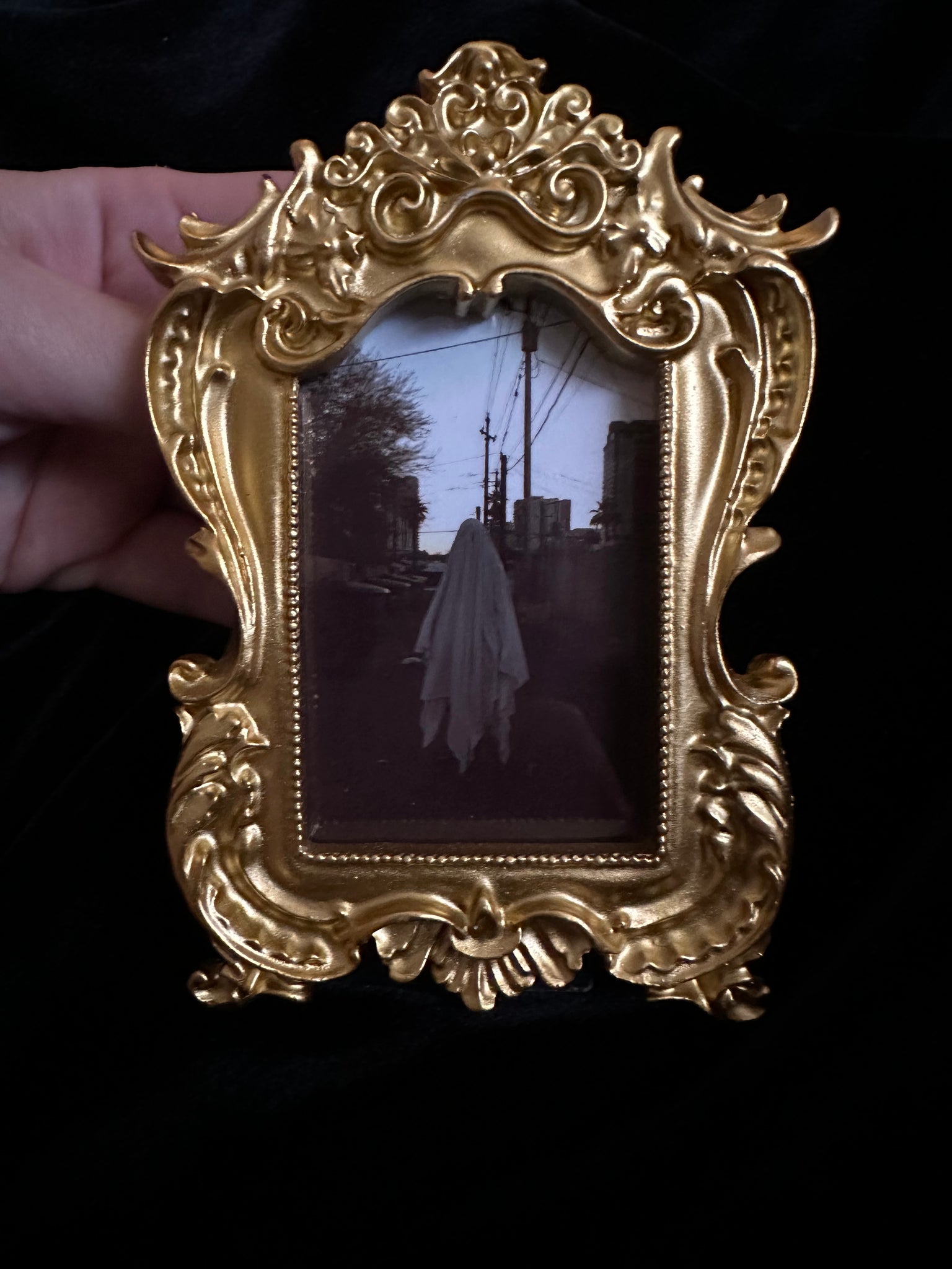 Small Gold Frame Prints by Alexandre LeMay