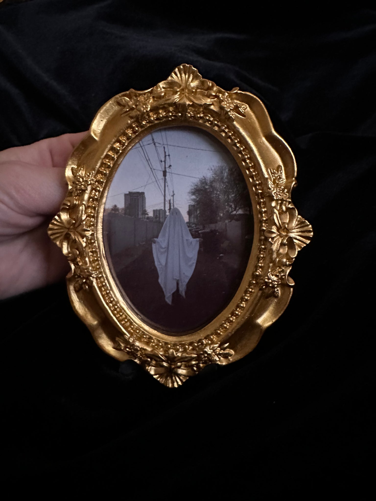 Small Gold Frame Prints by Alexandre LeMay