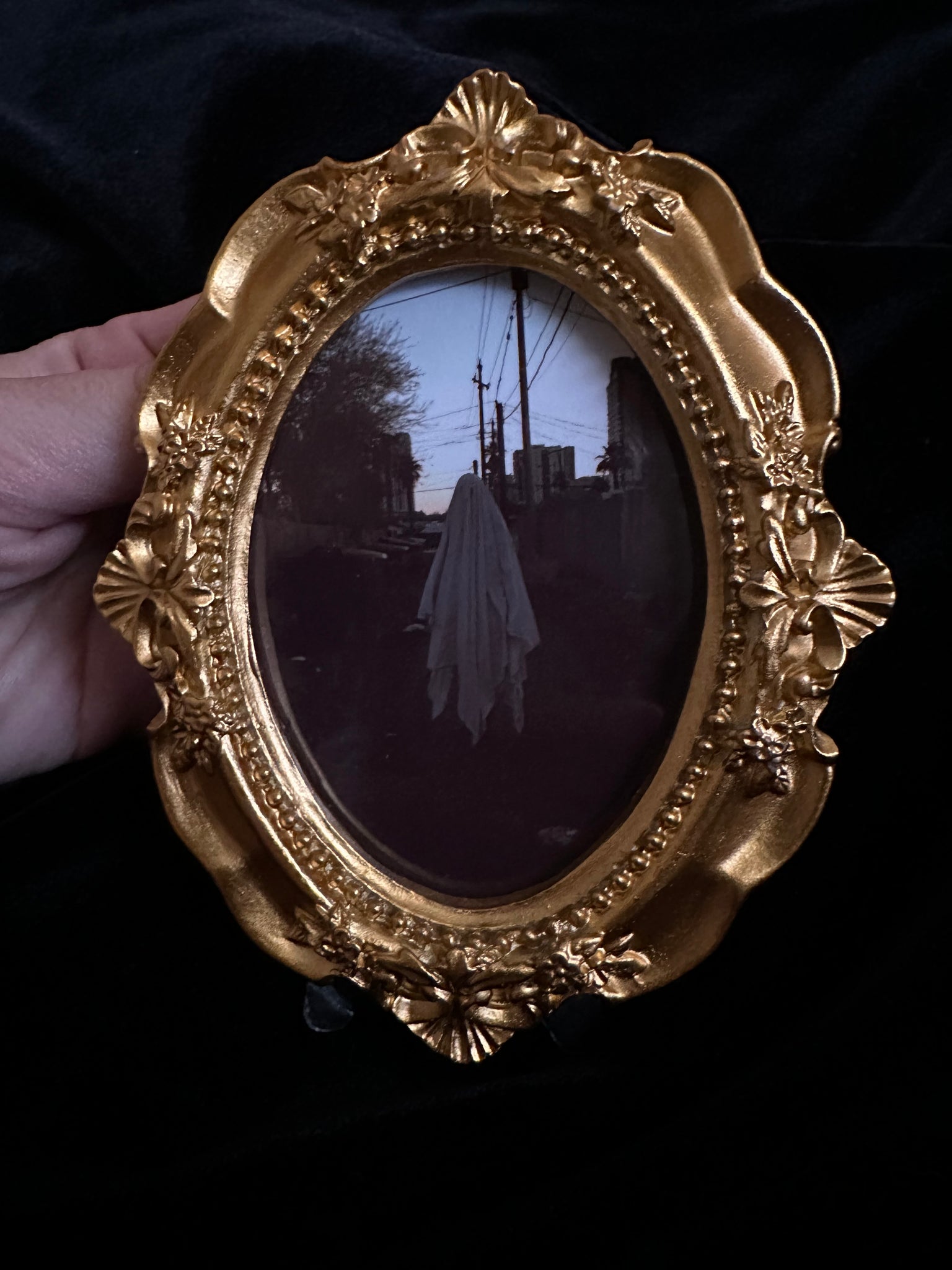 Small Gold Frame Prints by Alexandre LeMay