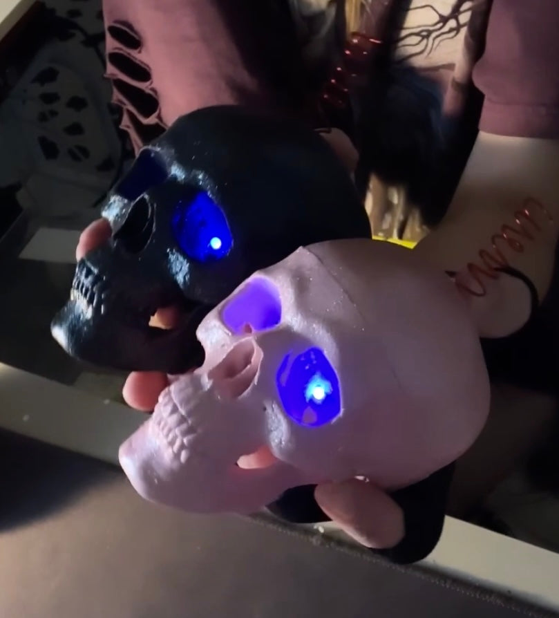 Skull EMF Ghost Detector