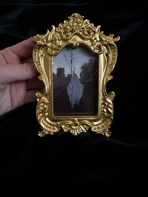Small Gold Frame Prints by Alexandre LeMay